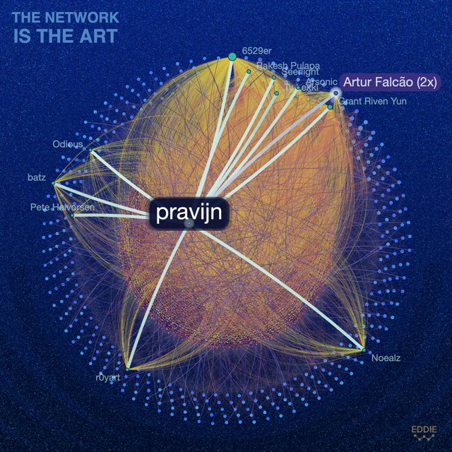 The Network, activated from pravijn